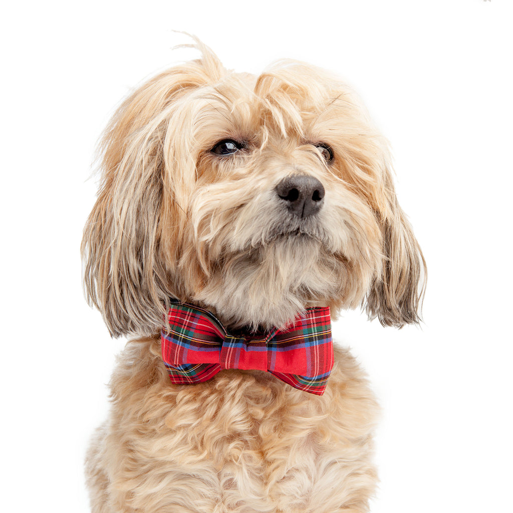 TRISH HAMPTON | Tartan Plaid Bow Tie Accessories TRISH HAMPTON   
