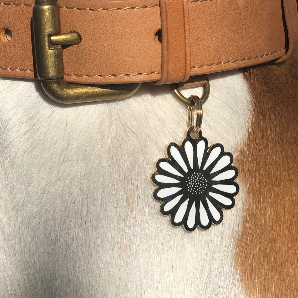 Daisy ID Tag (Custom & Made in the USA) DROP-SHIP TWO TAILS PET COMPANY   