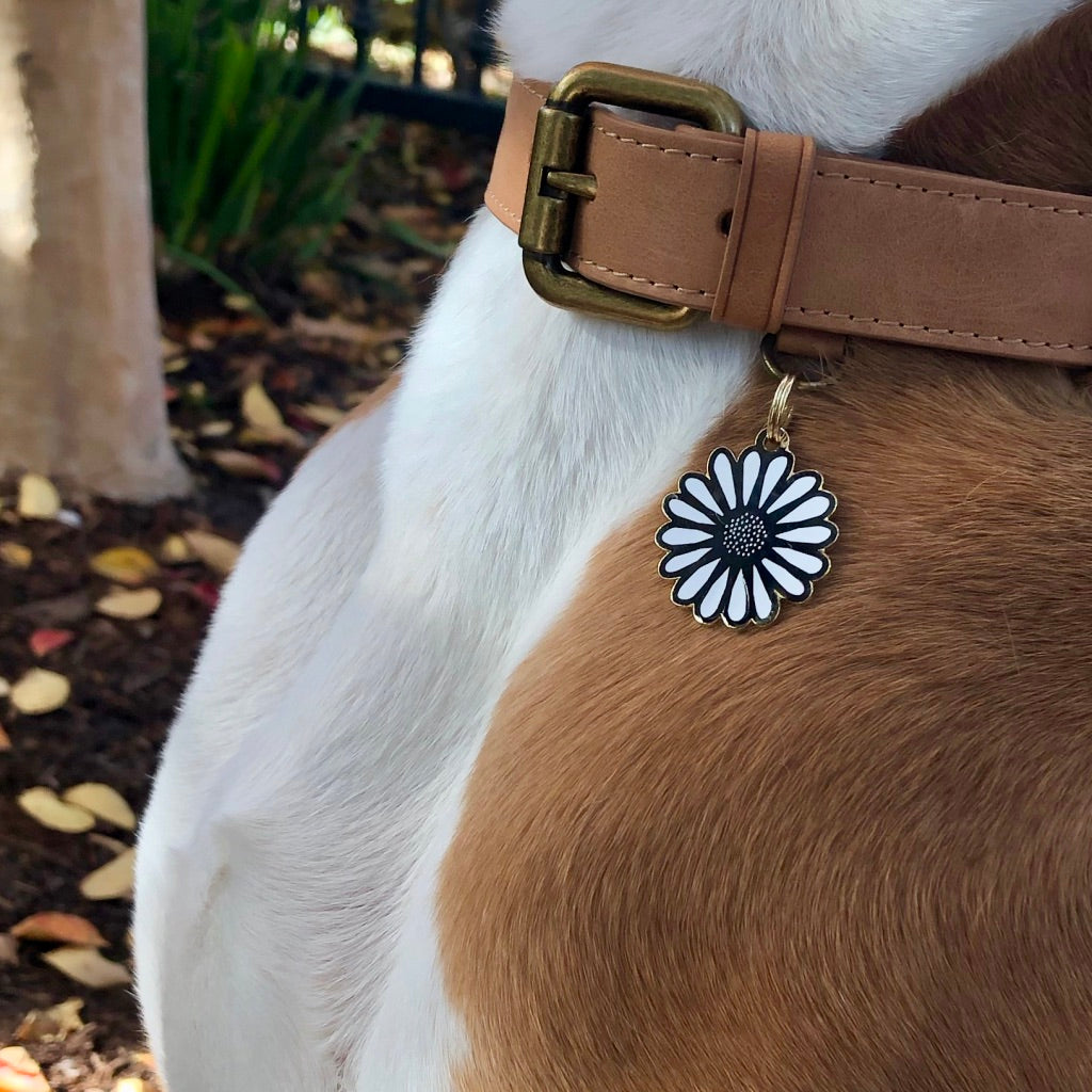 Daisy ID Tag (Custom & Made in the USA) DROP-SHIP TWO TAILS PET COMPANY   