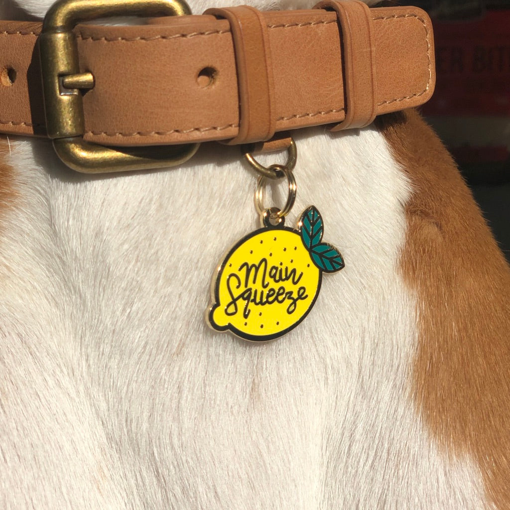 Main Squeeze Tag (Custom & Made in the USA) DROP-SHIP TWO TAILS PET COMPANY   