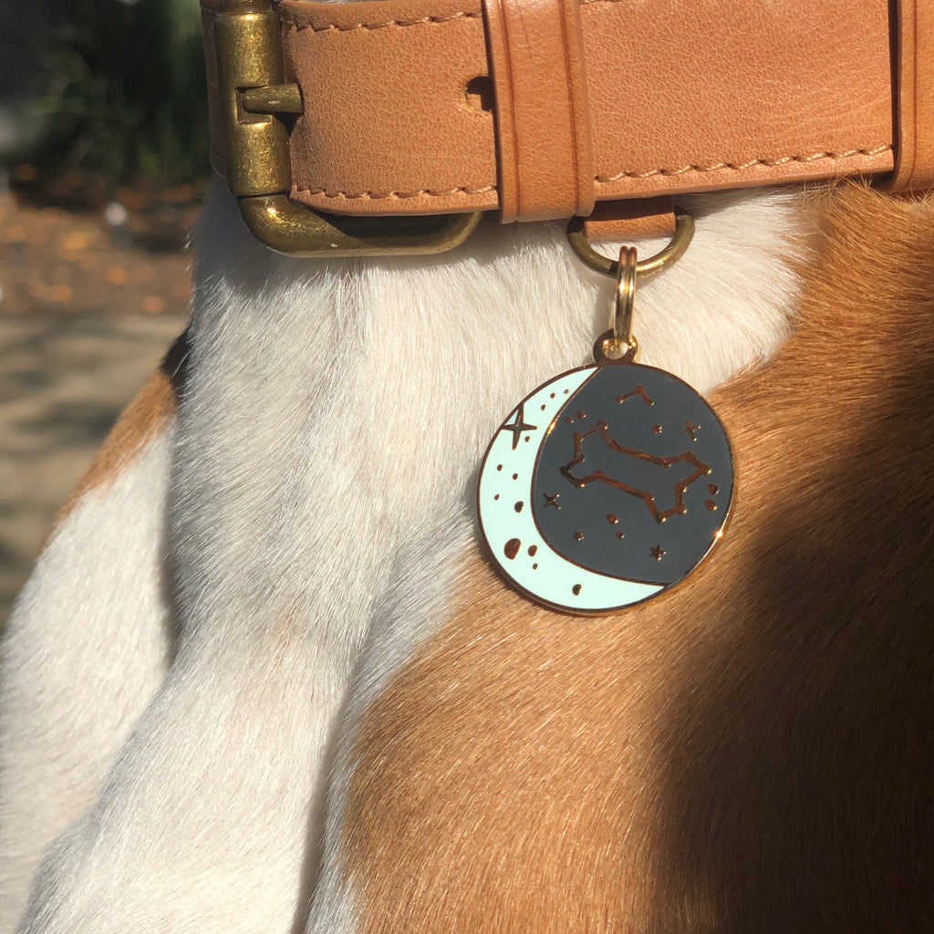 Zodiac ID Tag (Custom & Made in the USA) DROP-SHIP TWO TAILS PET COMPANY   