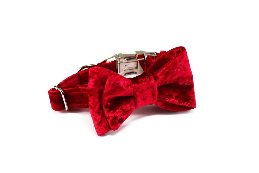TRAX TIES | The Elton Classic Bow Tie Accessories TRAX TIES   
