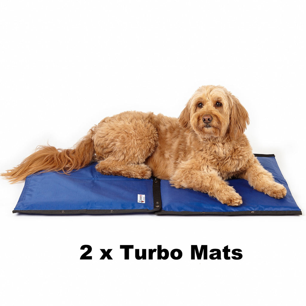 COOLER DOG | Turbo Cooling Mat Sleep COOLER DOG   