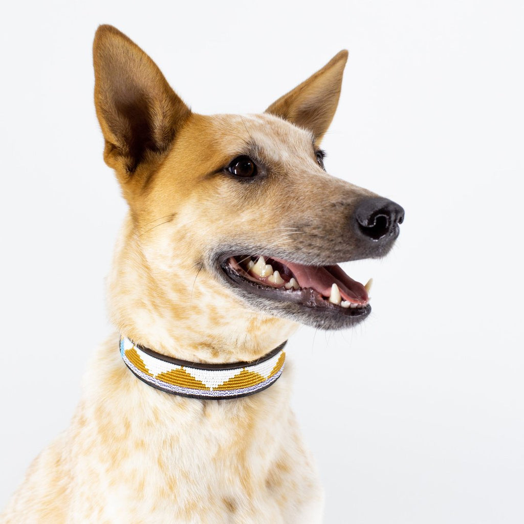 UBUNTU LIFE | Amber Tribal Collar Collar UBUNTU LIFE   