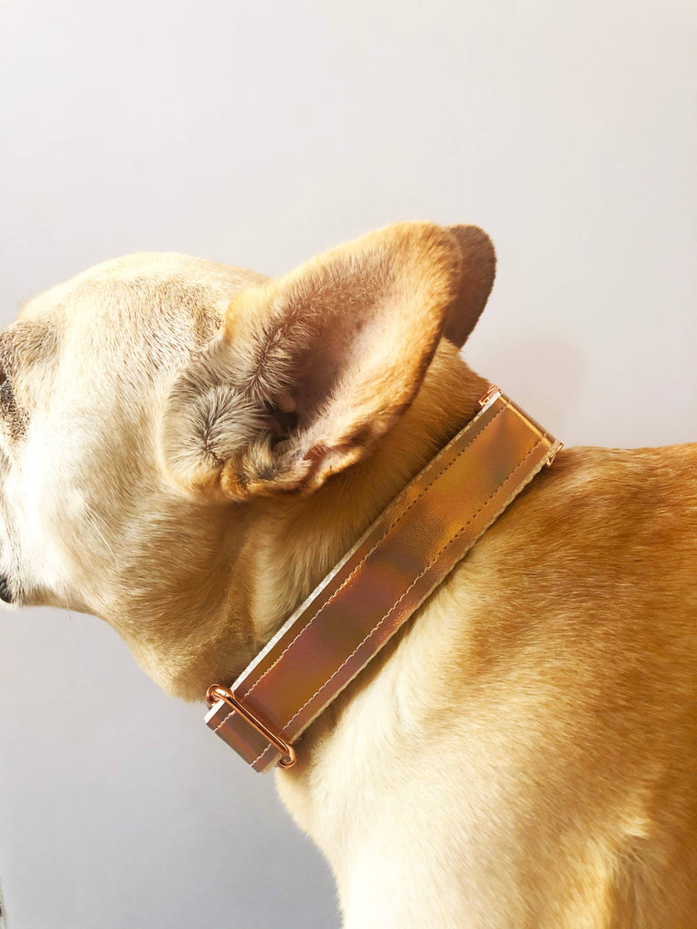 Unicorn Shimmer Vegan Leather Dog Collar (FINAL SALE) WALK WOOF + WONDER CO.   
