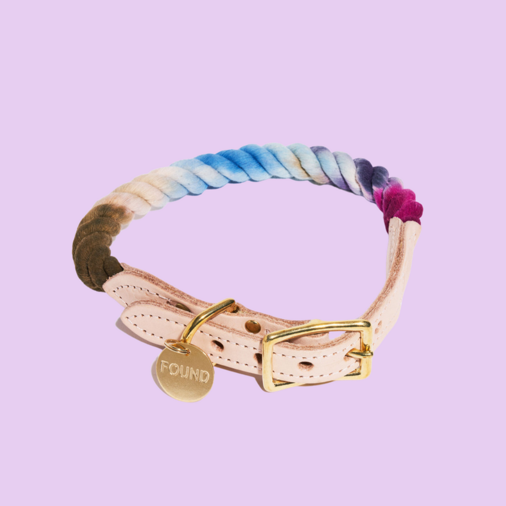 Rope Dog Collar in Mood Ring (FINAL SALE) WALK FOUND MY ANIMAL   