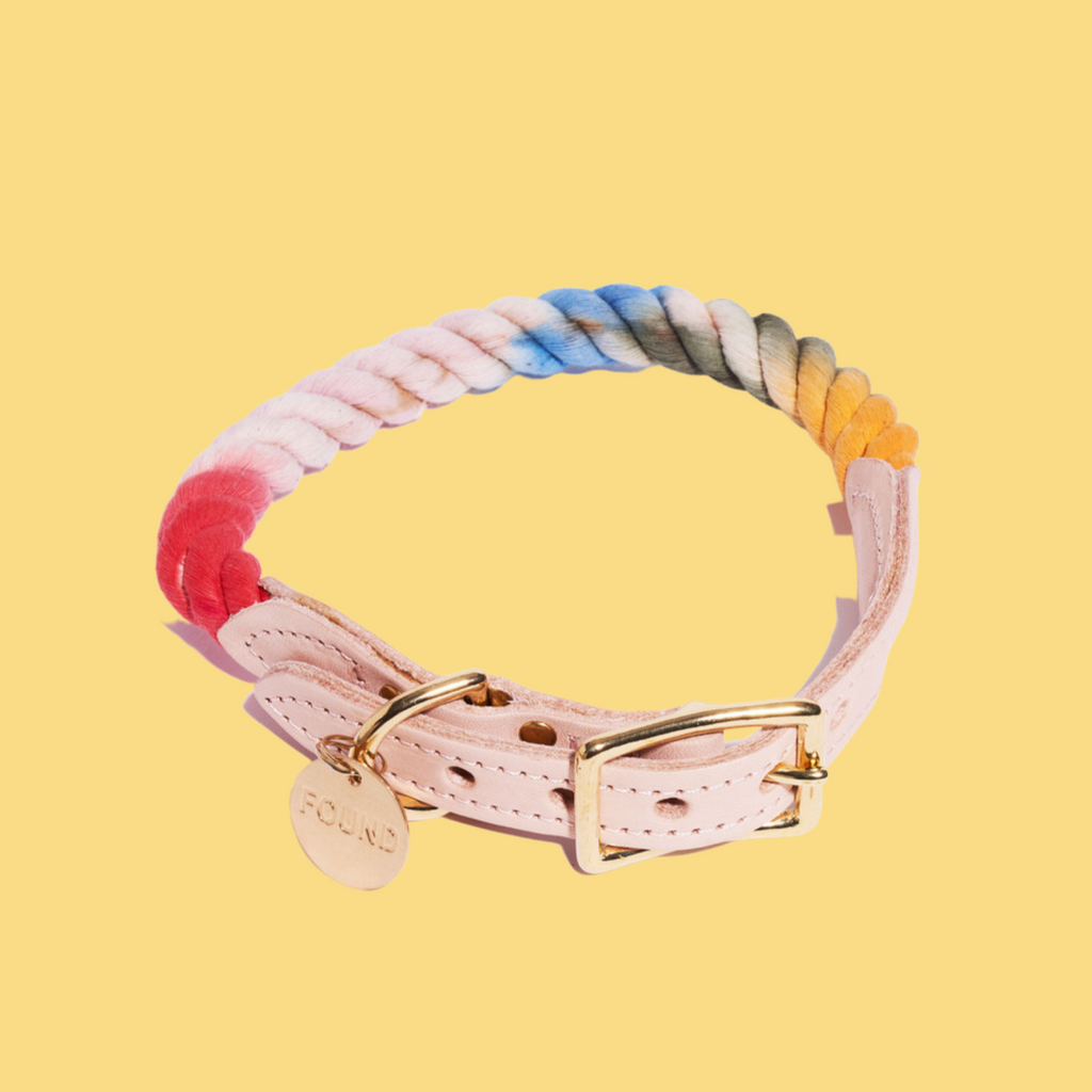 Ombre dog collar online