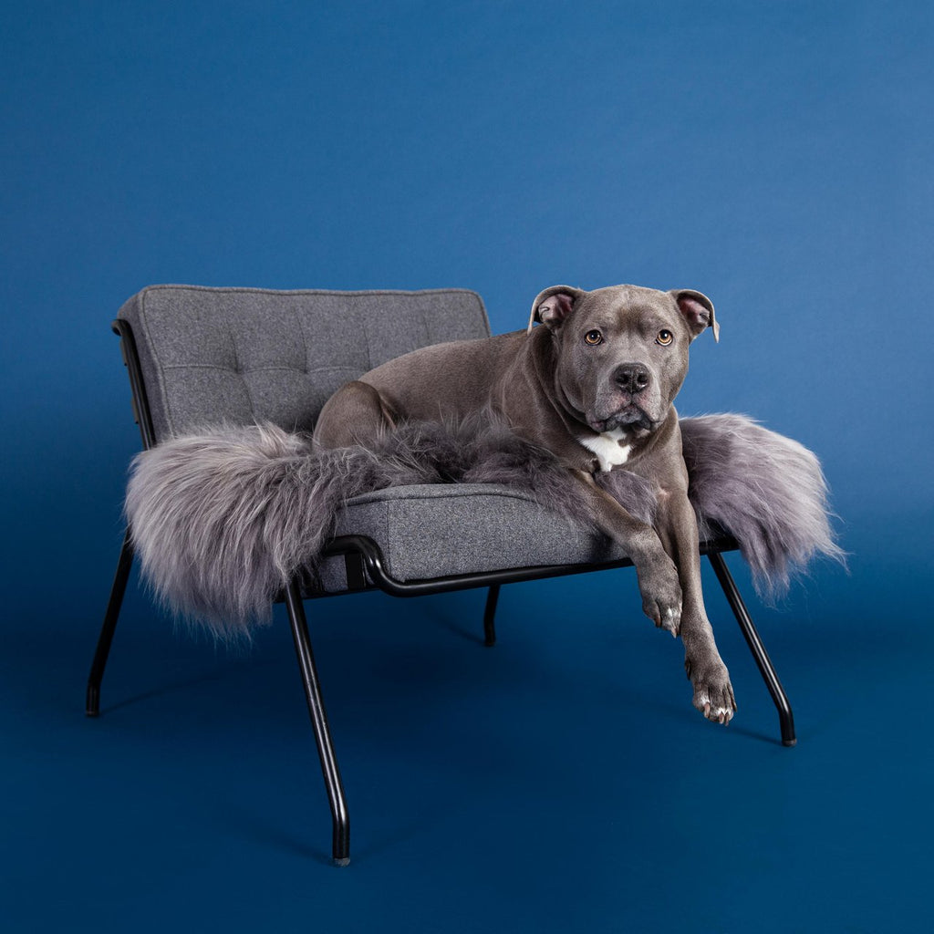 Asher Throw in Light Grey (Custom/Drop-Ship) HOME VELVET HIPPO   