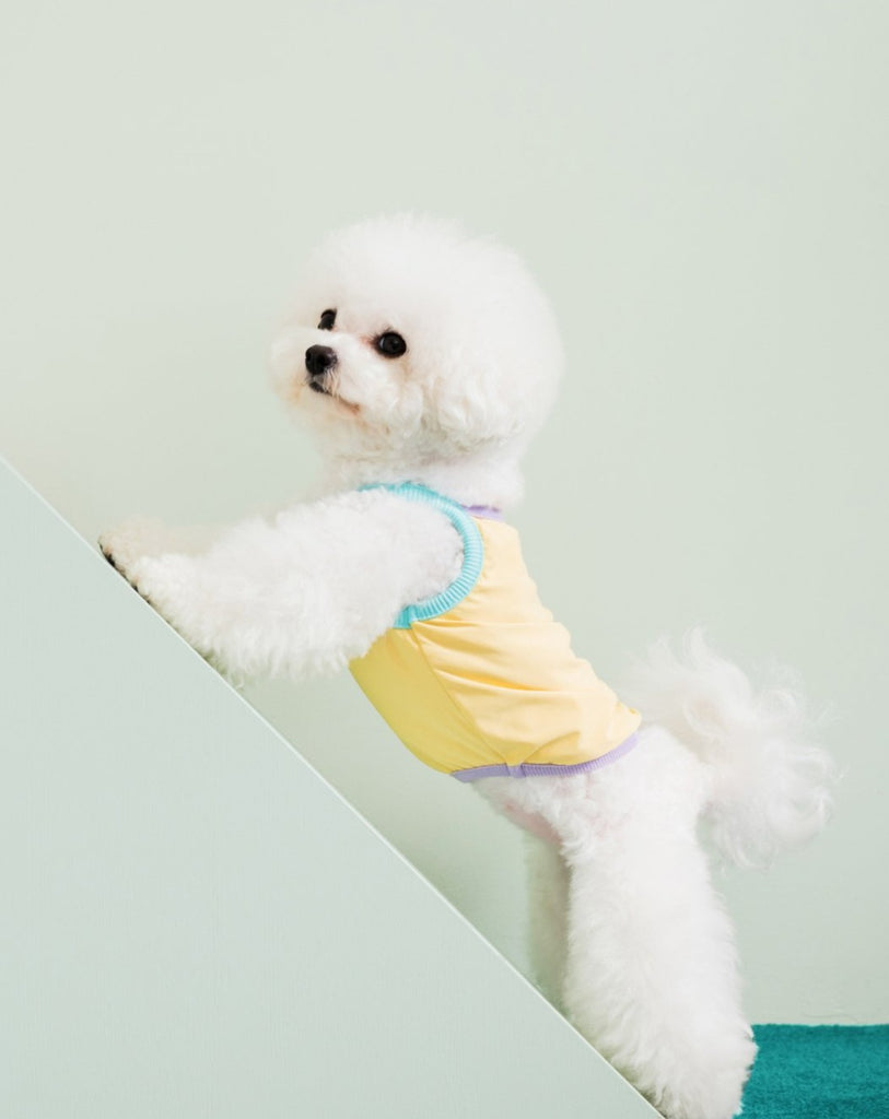 Cooling Dog Tank in Yellow (FINAL SALE) Wear NOOEE PET   