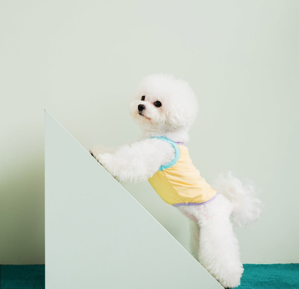 Cooling Dog Tank in Aqua << FINAL SALE >> Wear NOOEE PET   