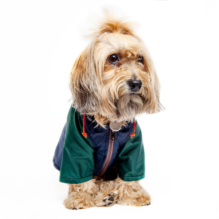 Nylon Colorblock Dog Rainbreaker in Hunter Green & Navy (Exclusive to DOG & CO.) Wear WAGWEAR   