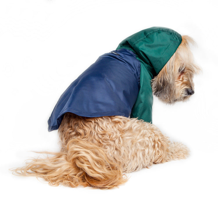 Nylon Colorblock Dog Rainbreaker in Hunter Green & Navy (Exclusive to DOG & CO.) Wear WAGWEAR   