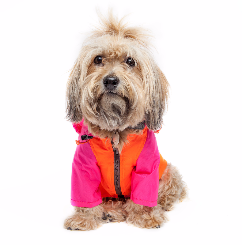 Nylon Colorblock Dog Rainbreaker in Neon Pink + Orange (Exclusive to DOG & CO.) Wear WAGWEAR   