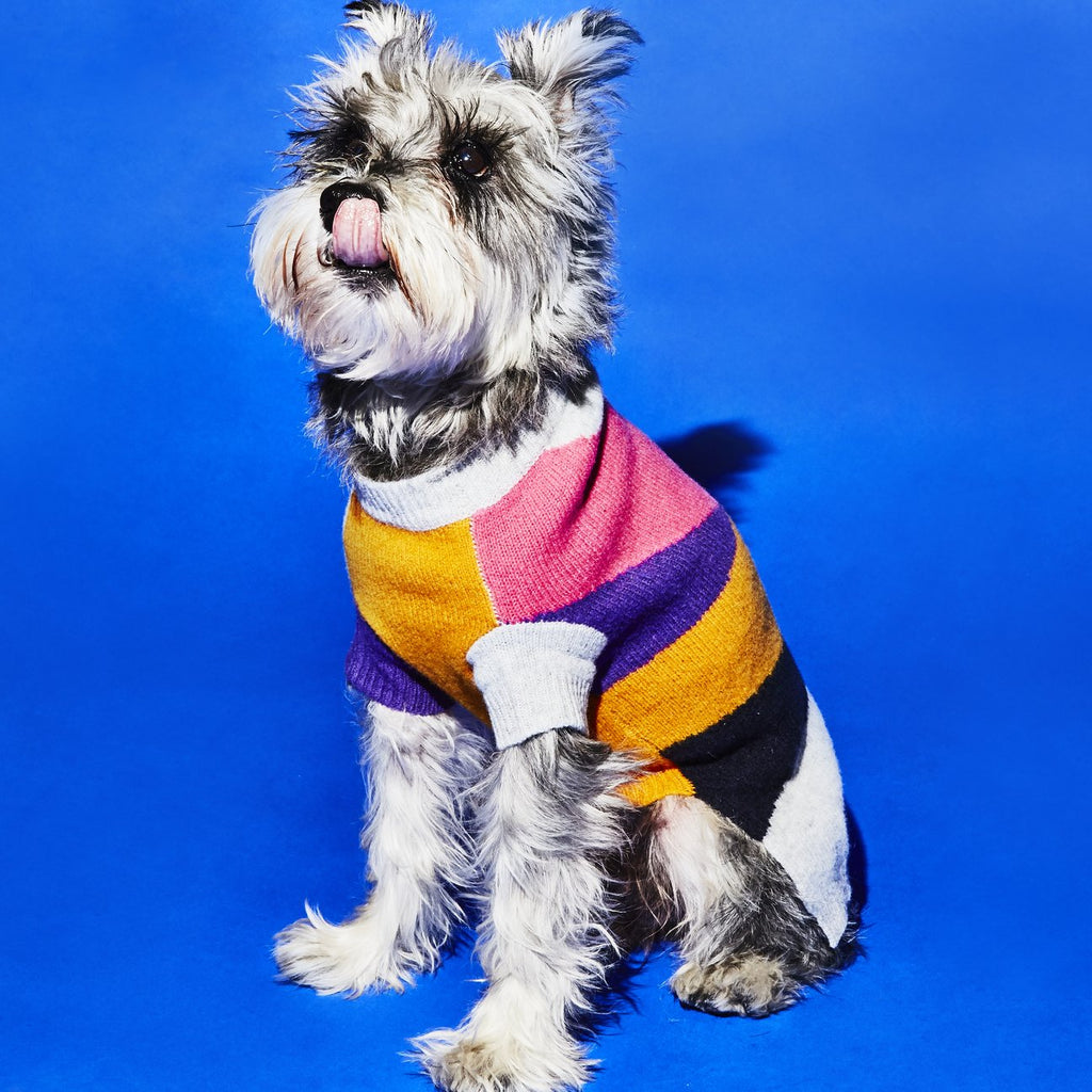 Asymmetric Dog Sweater in Grey << FINAL SALE >> Wear WARE OF THE DOG   