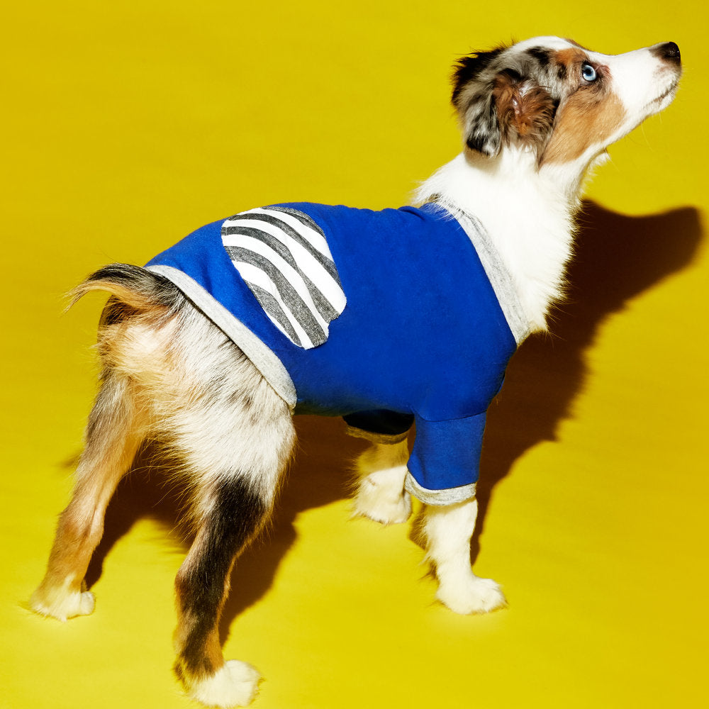 WARE of the DOG | Dot T Shirt in Blue Apparel WARE OF THE DOG   