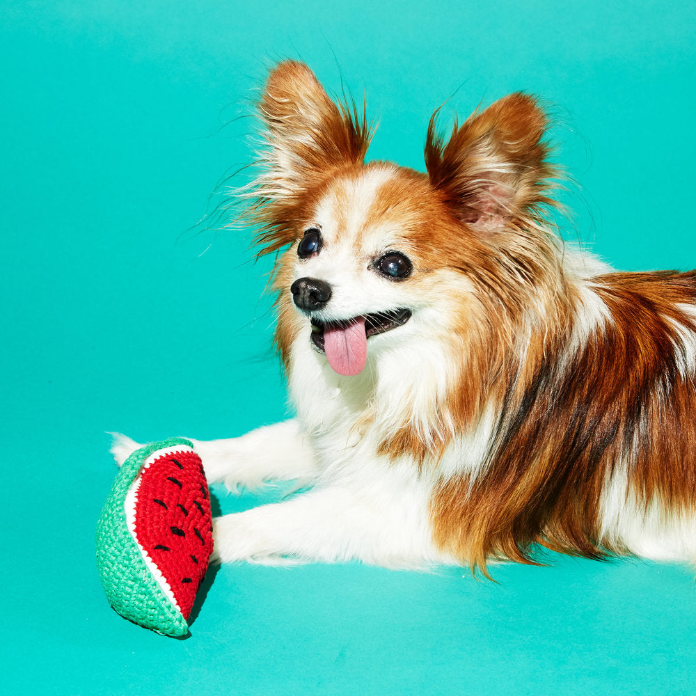 WARE OF THE DOG | Hand Crochet Watermelon Toy Toy WARE OF THE DOG   