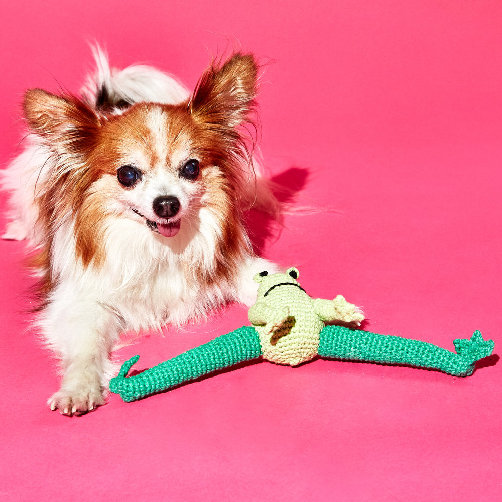 WARE of the DOG | Hand Crochet Frog Toy Play WARE OF THE DOG   