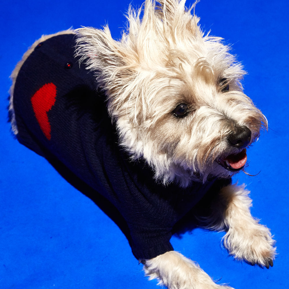 Heart Cardigan Dog Sweater in Navy (FINAL SALE) Wear WARE OF THE DOG   