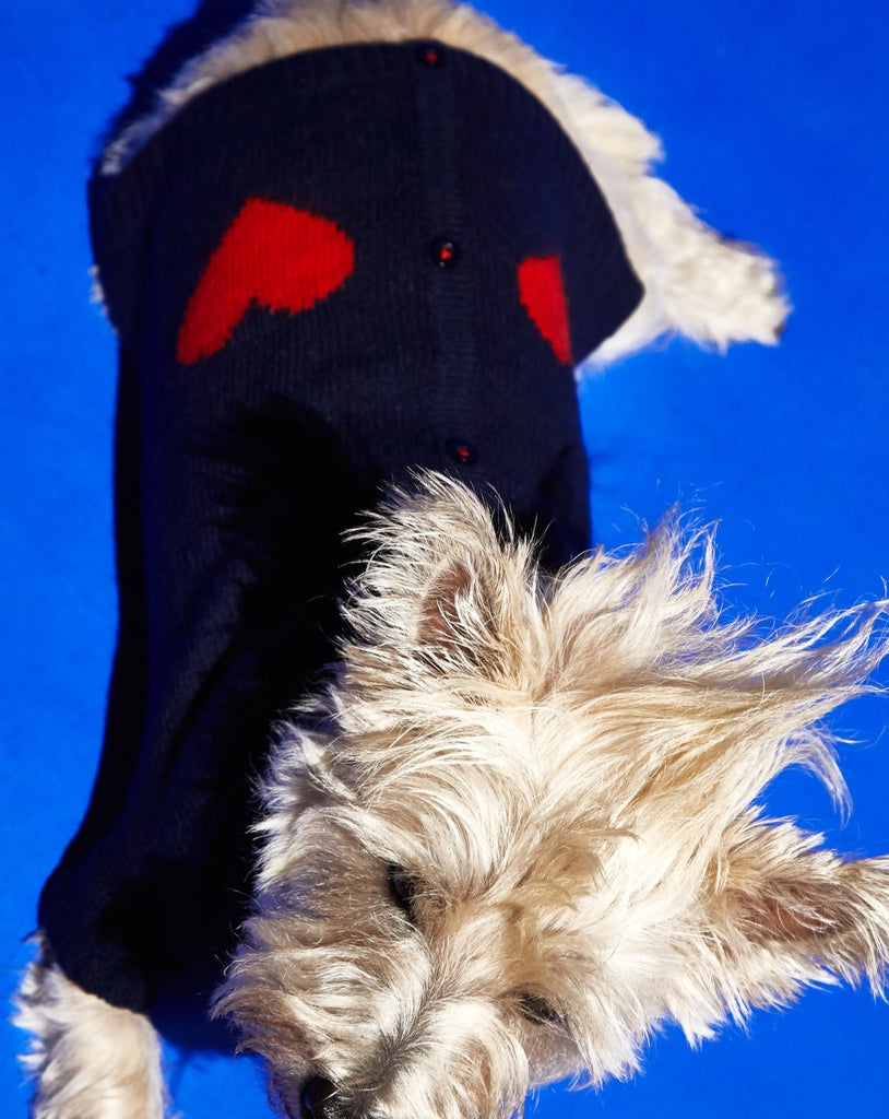 Heart Cardigan Dog Sweater in Navy (FINAL SALE) Wear WARE OF THE DOG   