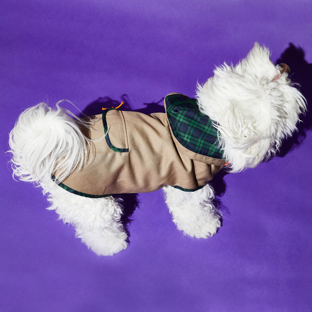 WARE OF THE DOG | Khaki Anorak Raincoat with Tartan Trim Apparel WARE OF THE DOG   