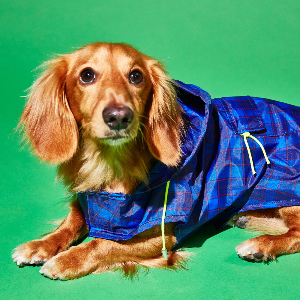 WARE OF THE DOG | Plaid Anorak Raincoat in Purple/Multi Apparel WARE OF THE DOG   