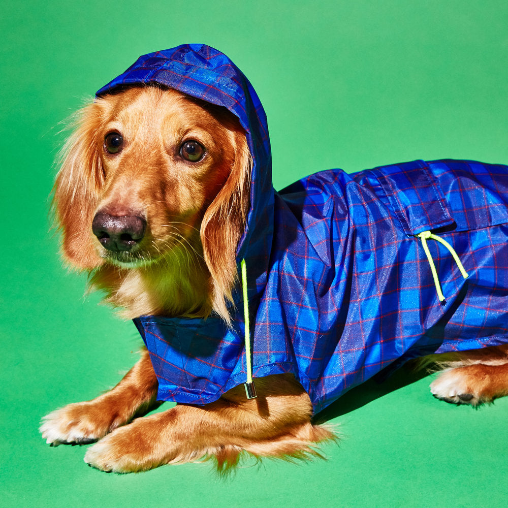 WARE OF THE DOG | Plaid Anorak Raincoat in Purple/Multi Apparel WARE OF THE DOG   