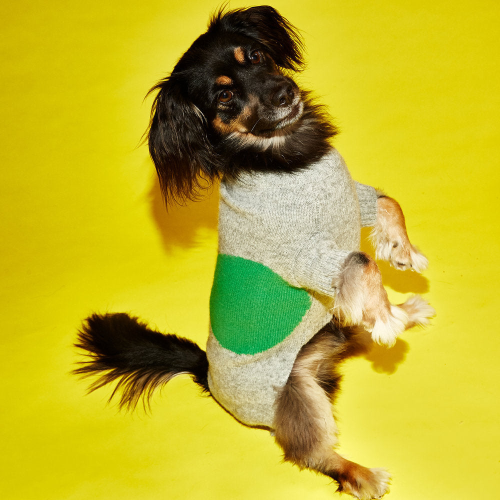 WARE OF THE DOG | Dot Sweater in Grey and Green Apparel WARE OF THE DOG   