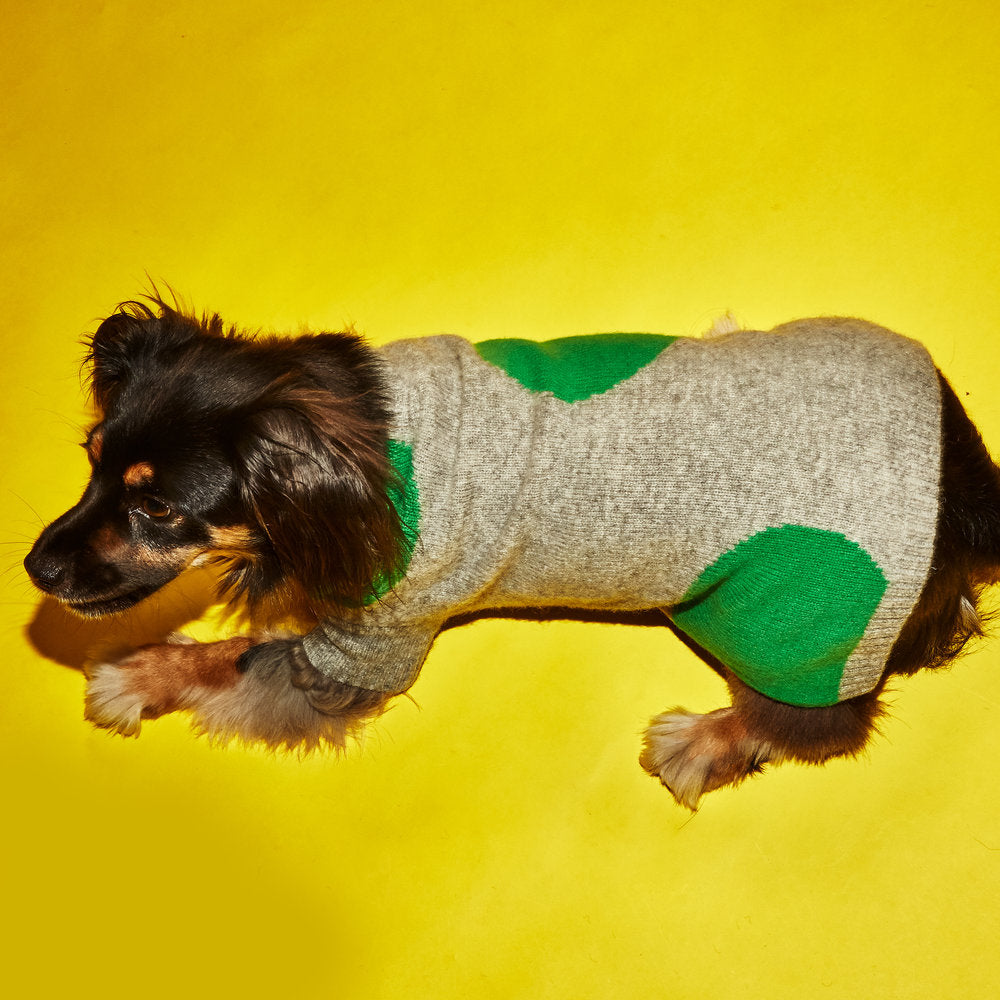 WARE OF THE DOG | Dot Sweater in Grey and Green Apparel WARE OF THE DOG   