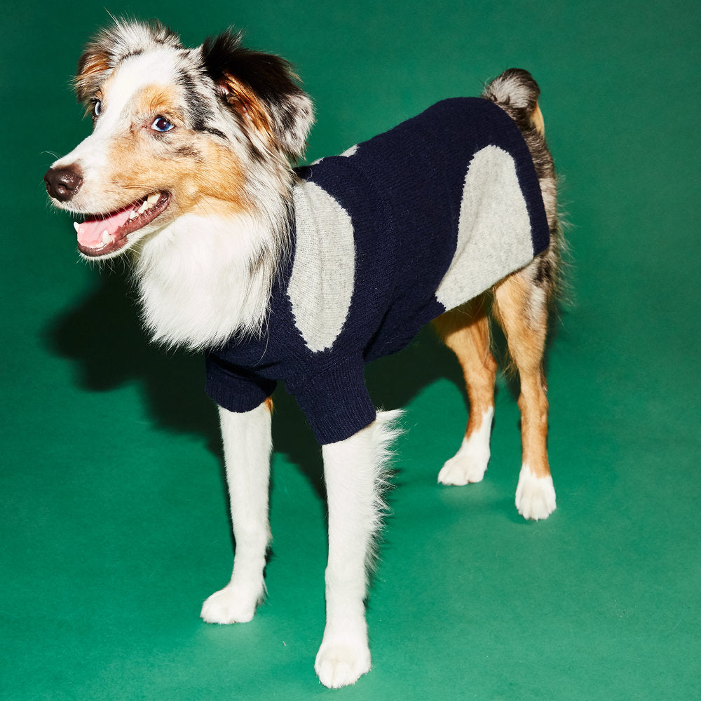 WARE OF THE DOG | Dot Sweater in Navy and Grey Apparel WARE OF THE DOG   