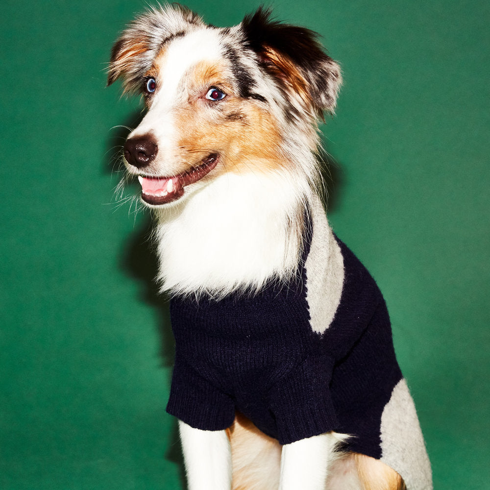 WARE OF THE DOG | Dot Sweater in Navy and Grey Apparel WARE OF THE DOG   