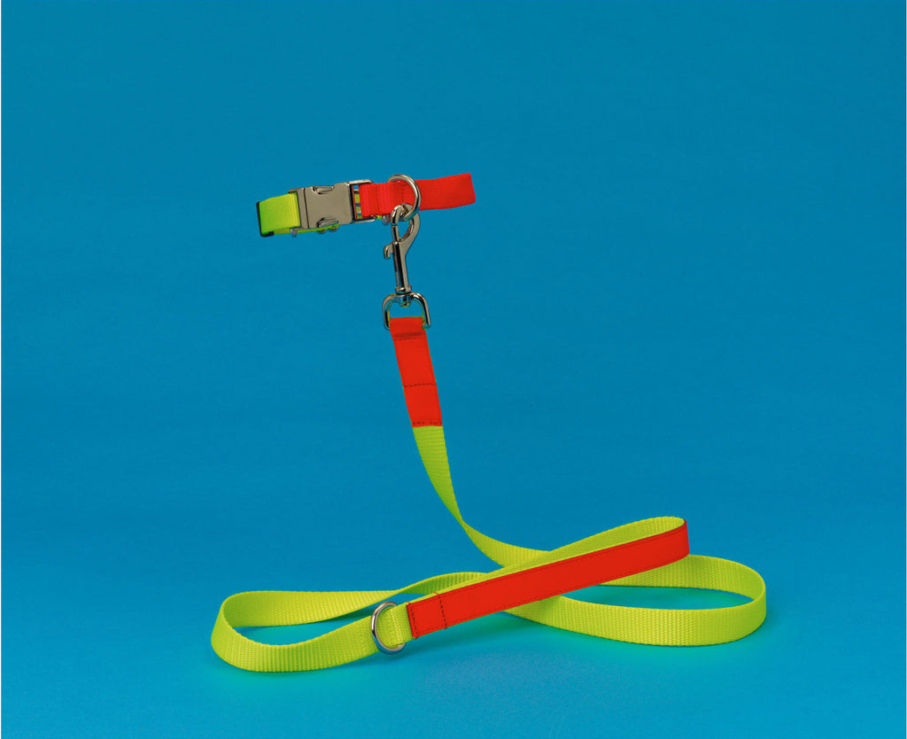 WARE of the DOG | Nylon Leash in Yellow/Orange WALK WARE OF THE DOG   