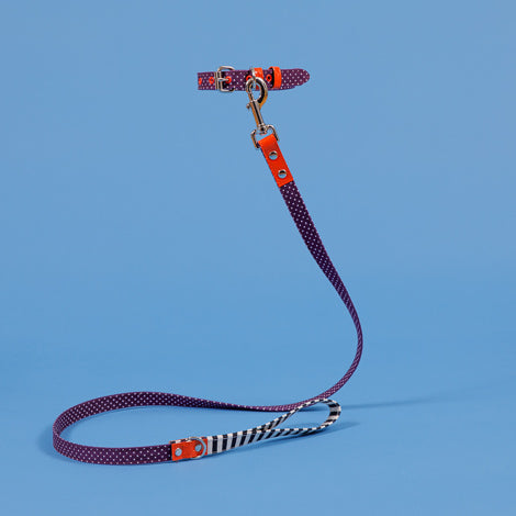 WARE of the DOG | Polka Dot Canvas Leash lead WARE OF THE DOG   