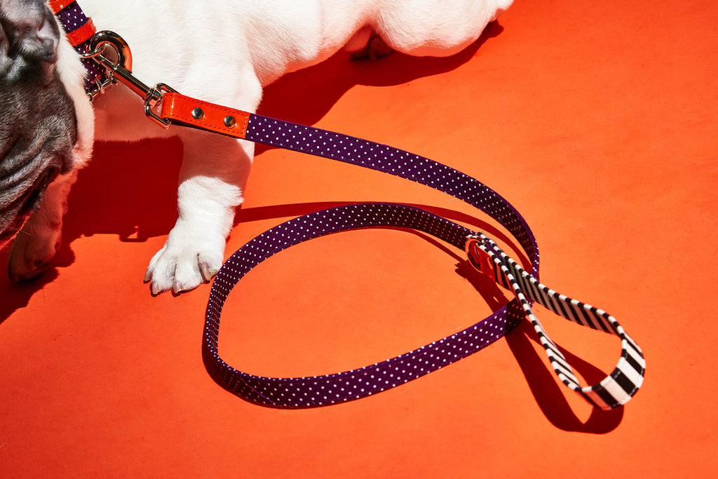 WARE of the DOG | Polka Dot Canvas Leash lead WARE OF THE DOG   