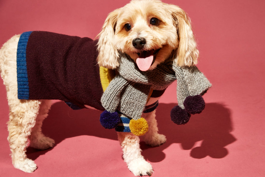 Pom Pom Scarf in Grey (FINAL SALE) Accessories WARE OF THE DOG   