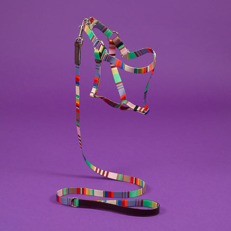 Webbing Nylon Dog Harness in Lavender Stripe<br>(FINAL SALE) Walk WARE OF THE DOG   