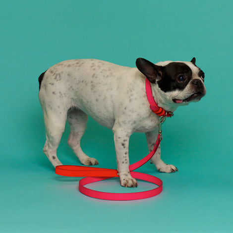 WARE of the DOG | Two Tone Leather Leash in Pink / Orange lead WARE OF THE DOG   