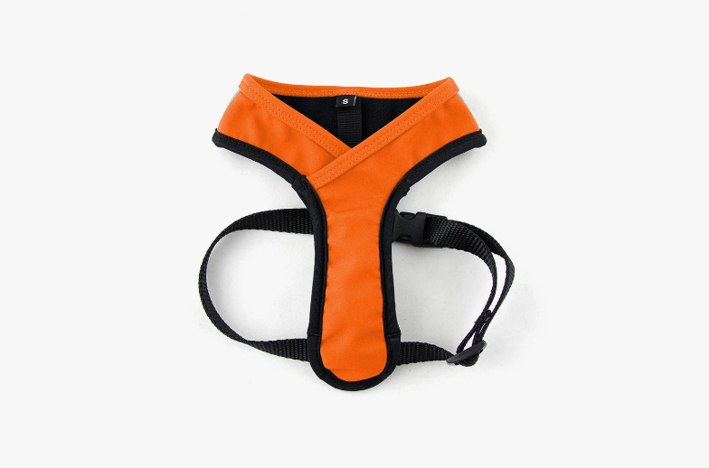 Laguna Harness in Orange (FINAL SALE) WALK WILDEBEEST   