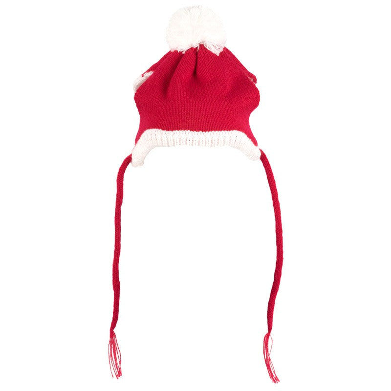 WORTHY DOG | Santa Hat Accessories THE WORTHY DOG   