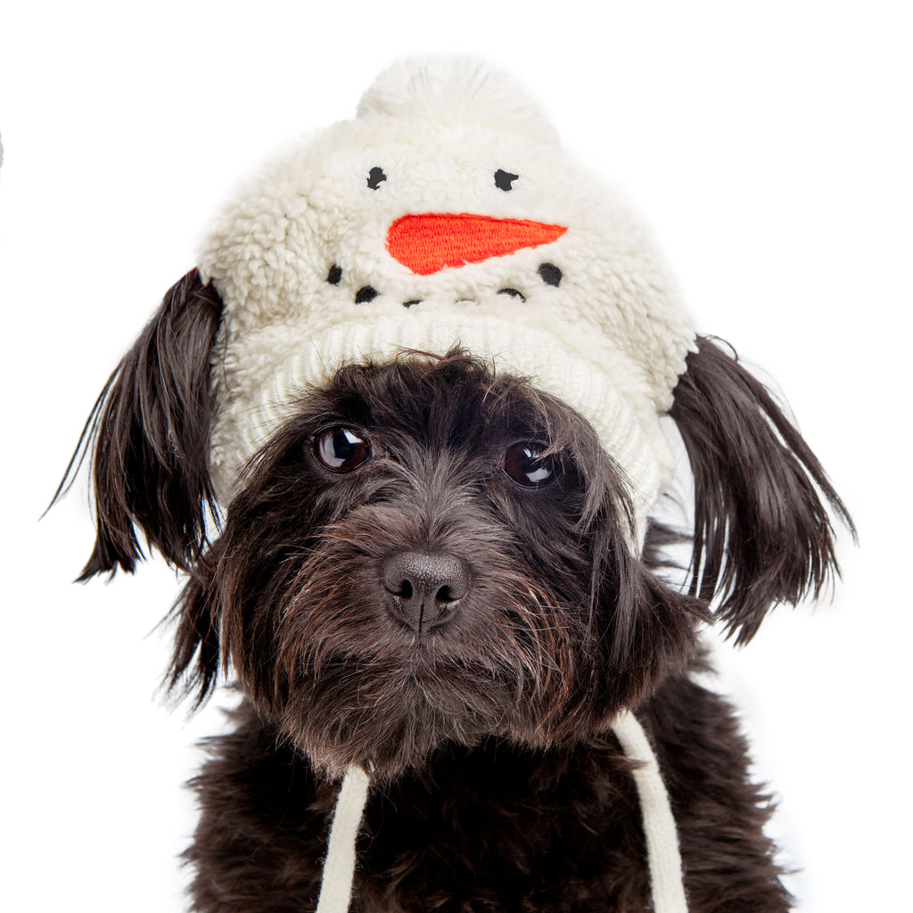 Silly Snowman Tie-On Dog Hat Wear THE WORTHY DOG   