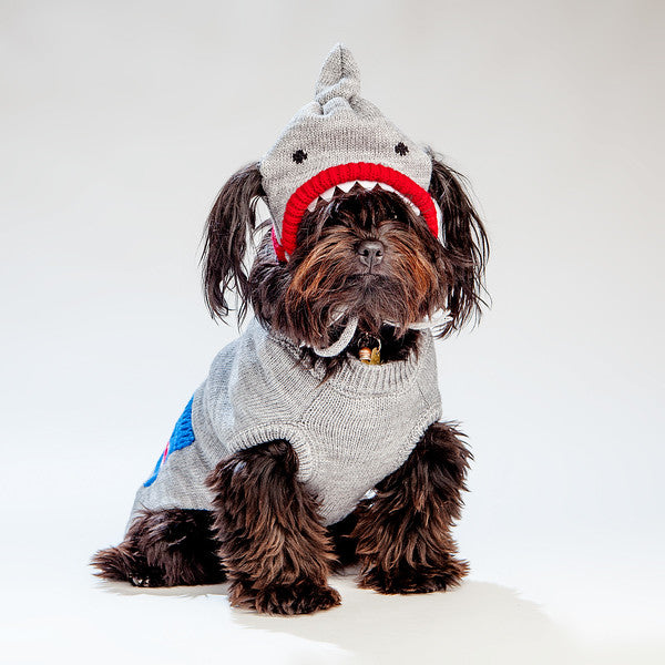 WORTHY DOG Shark Hat