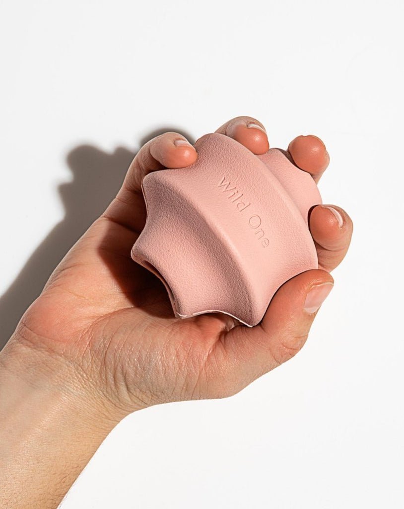 Twist Toss Dog Toy in Blush Play Wild One   