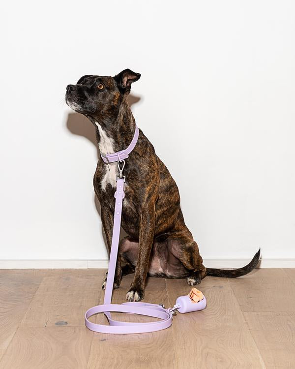 Durable Dog Leash in Lilac (FINAL SALE) WALK WILD ONE   