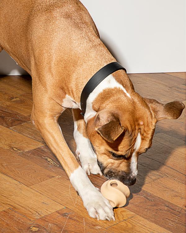 Twist Toss Dog Toy in Tan Play Wild One   