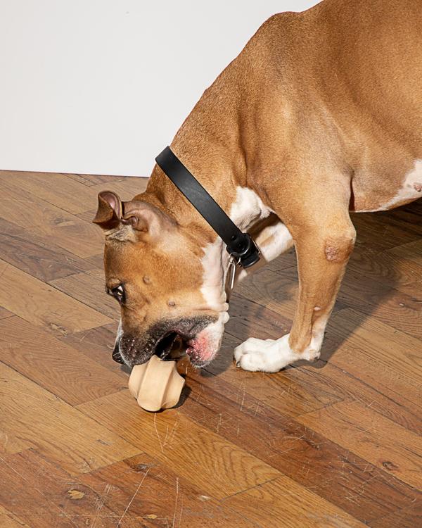 Twist Toss Dog Toy in Tan Play Wild One   