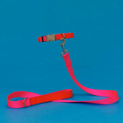 Nylon & Leather Dog Leash in Neon Pink & Orange (Made in the USA) << CLEARANCE >> WALK WARE OF THE DOG   