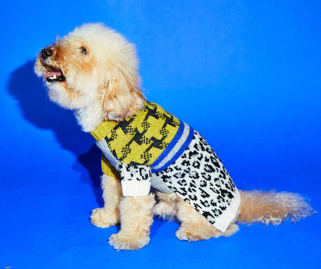 Leopard Combo Sweater (FINAL SALE) Wear WARE OF THE DOG   