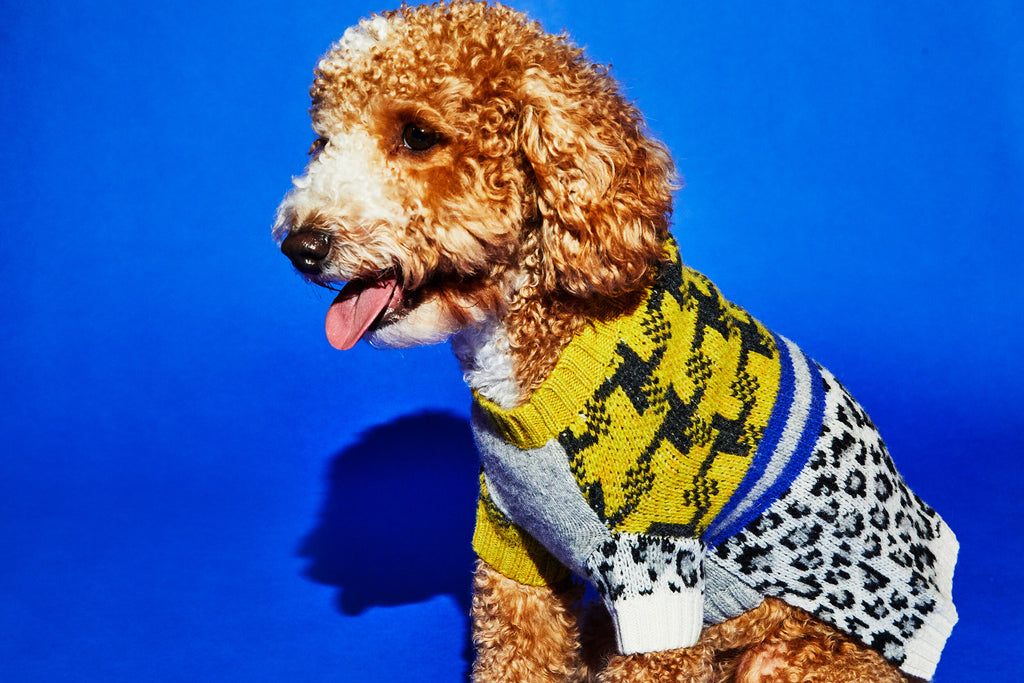 Leopard Combo Sweater (FINAL SALE) Wear WARE OF THE DOG   