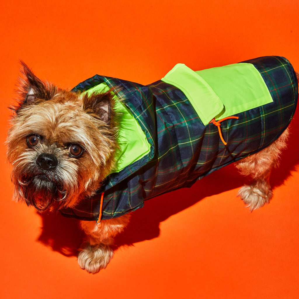 Plaid/Neon Nylon Puffer (FINAL SALE) Coats & Jackets WARE OF THE DOG   