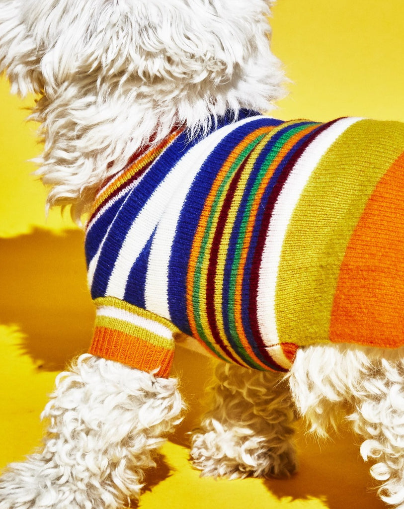 Multi-Striped Wool Dog Sweater << FINAL SALE >> Wear WARE OF THE DOG   