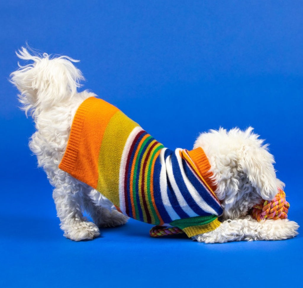 Multi-Striped Wool Dog Sweater << FINAL SALE >> Wear WARE OF THE DOG   